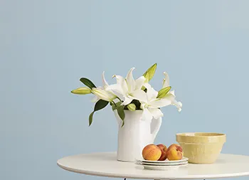 legacy asset from source