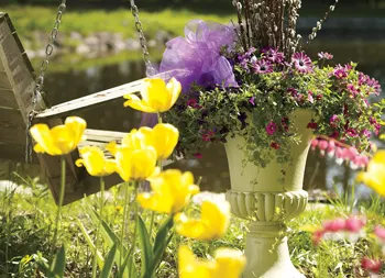 legacy asset from source