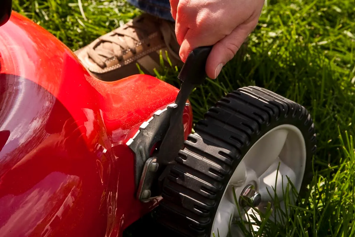 Step 4: Mow High