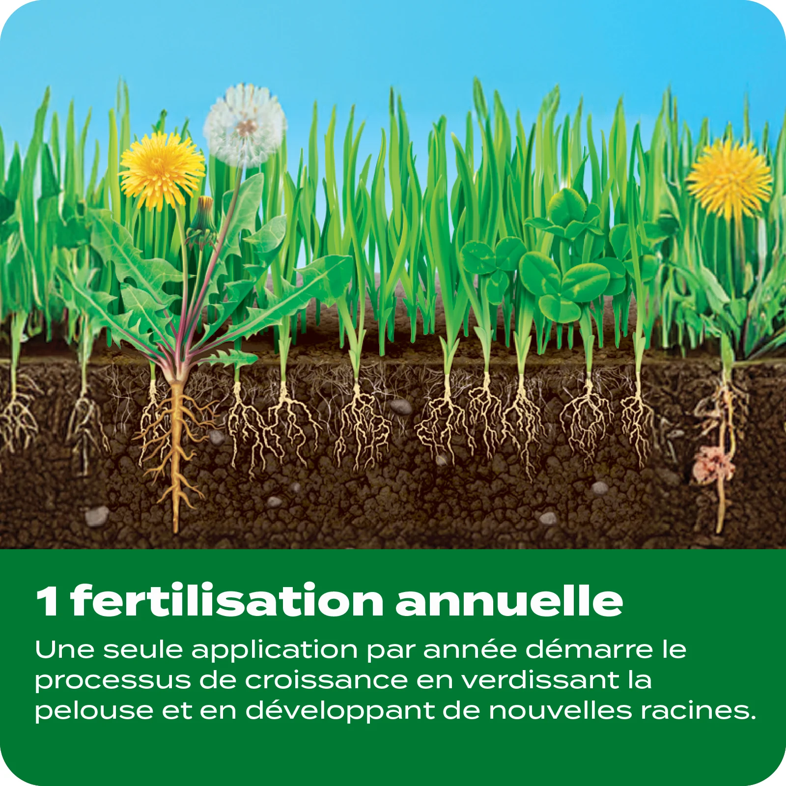 LAWN FERT TILE 8 FRENCH