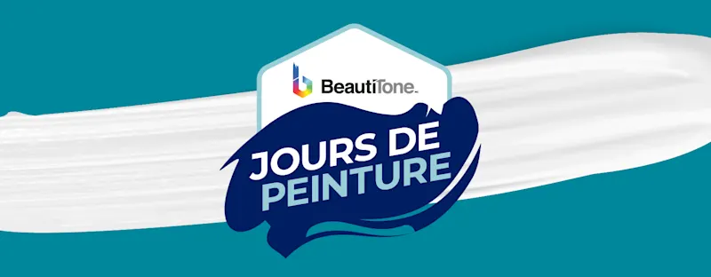 BT-PaintDays-AdBlock-FR