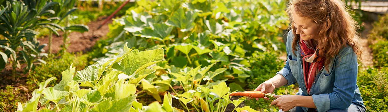 earth to table_Banner_2025