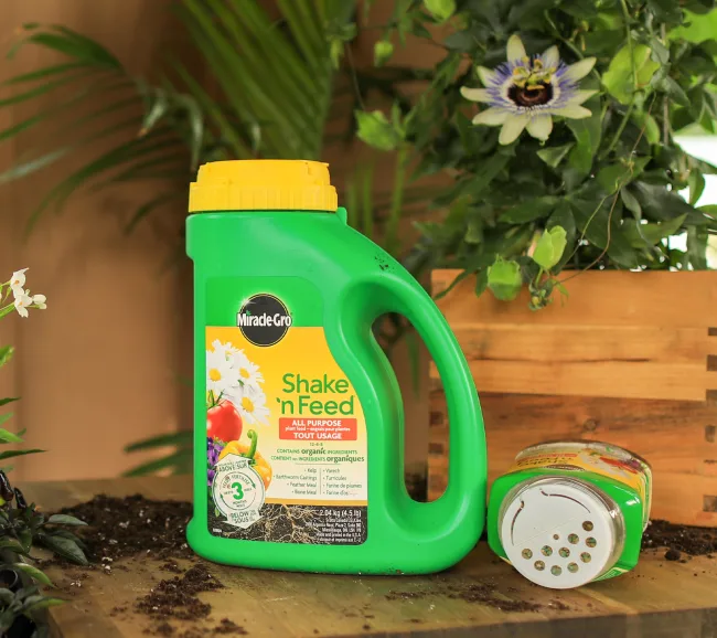 Engrais pour plantes et terreau d’empotage Miracle-Gro