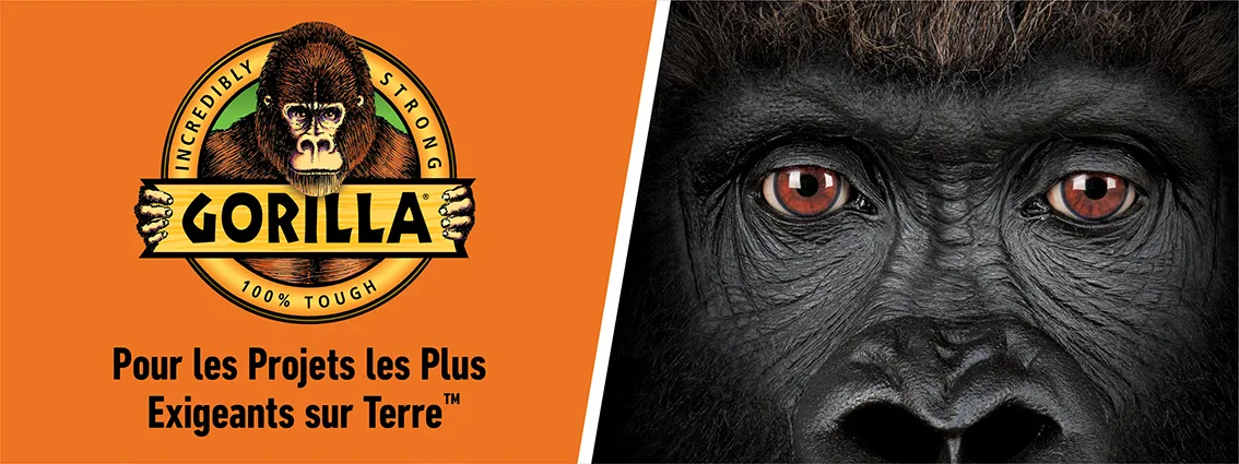 Gorilla - Header Image
