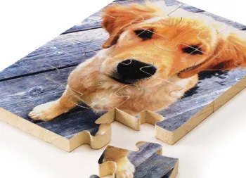 legacy asset from source