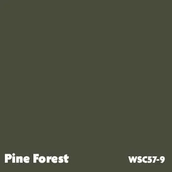 Pine Forest