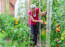 legacy asset from source