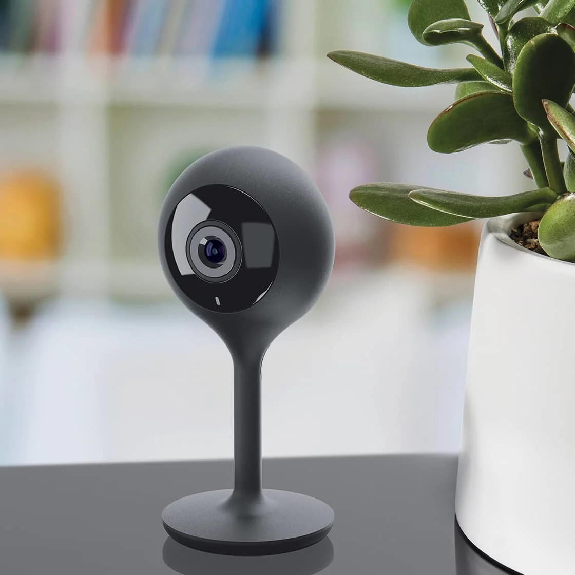Security camera