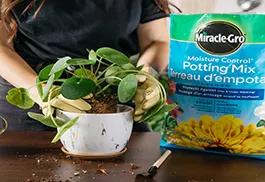 legacy asset from source