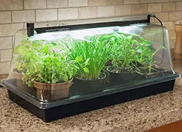 legacy asset from source