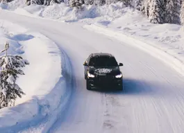 legacy asset from source