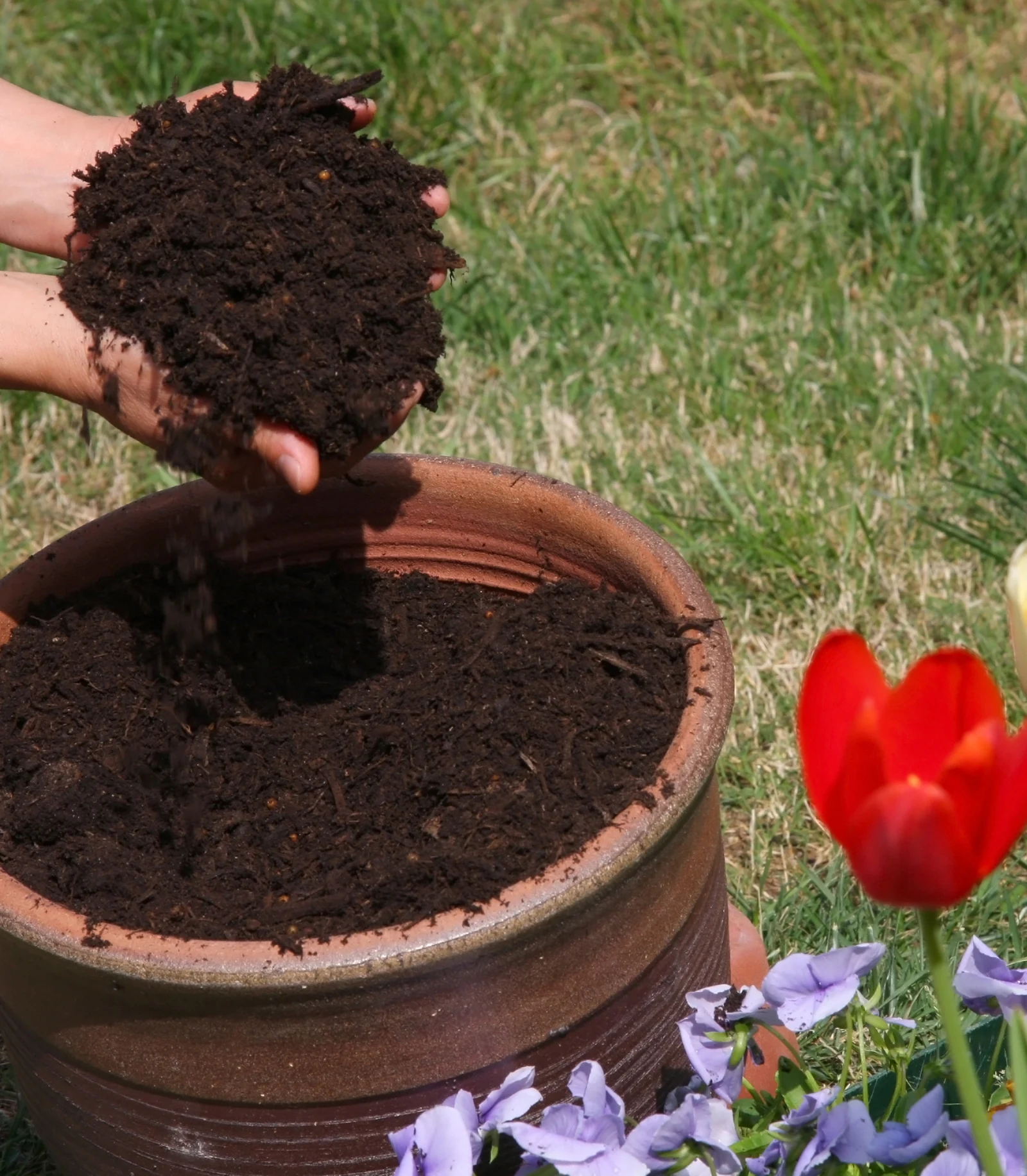 Garden soils