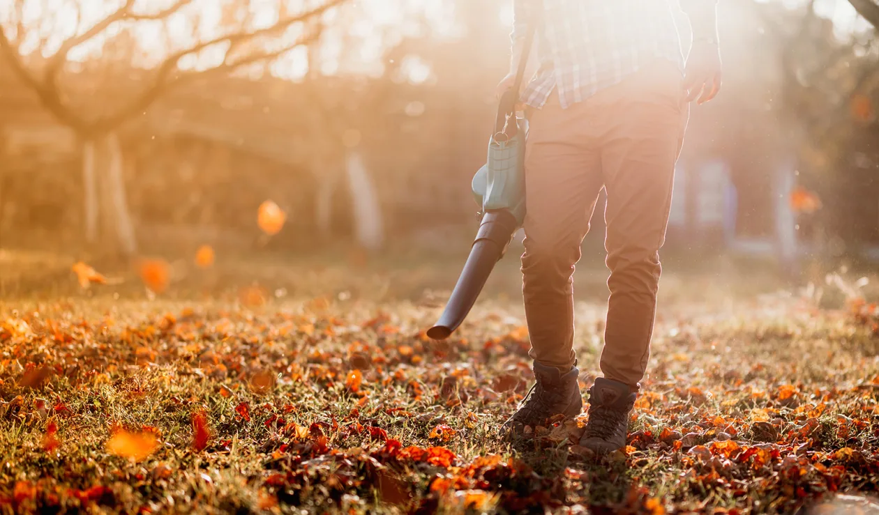 Solde aubaines d'automne
