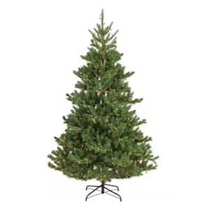 image of  Arbres de Noël