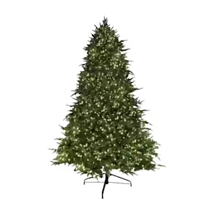 image of Christmas Trees