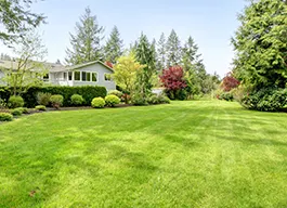 legacy asset from source