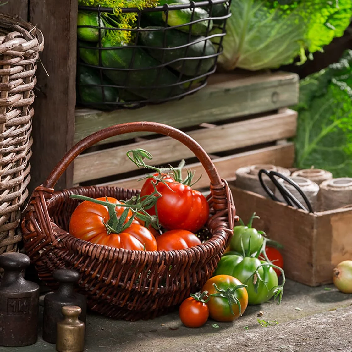 root cellar storage