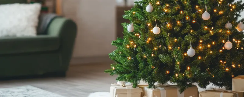 1600x642 ChristmasTree2