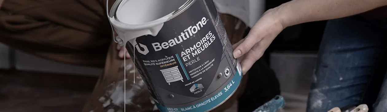 1600x464-banner-image-BT2FR PRO Paint