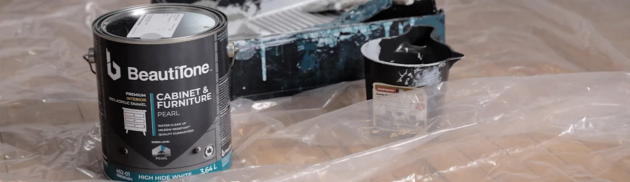 1600x464-banner-image-BT PRO Paint