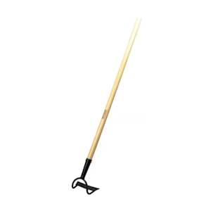 image of 