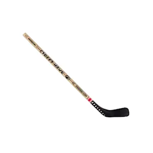 image of Hockey