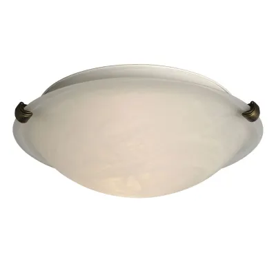 Flush mount ceiling light 
