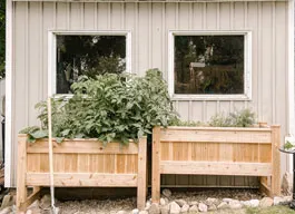 legacy asset from source