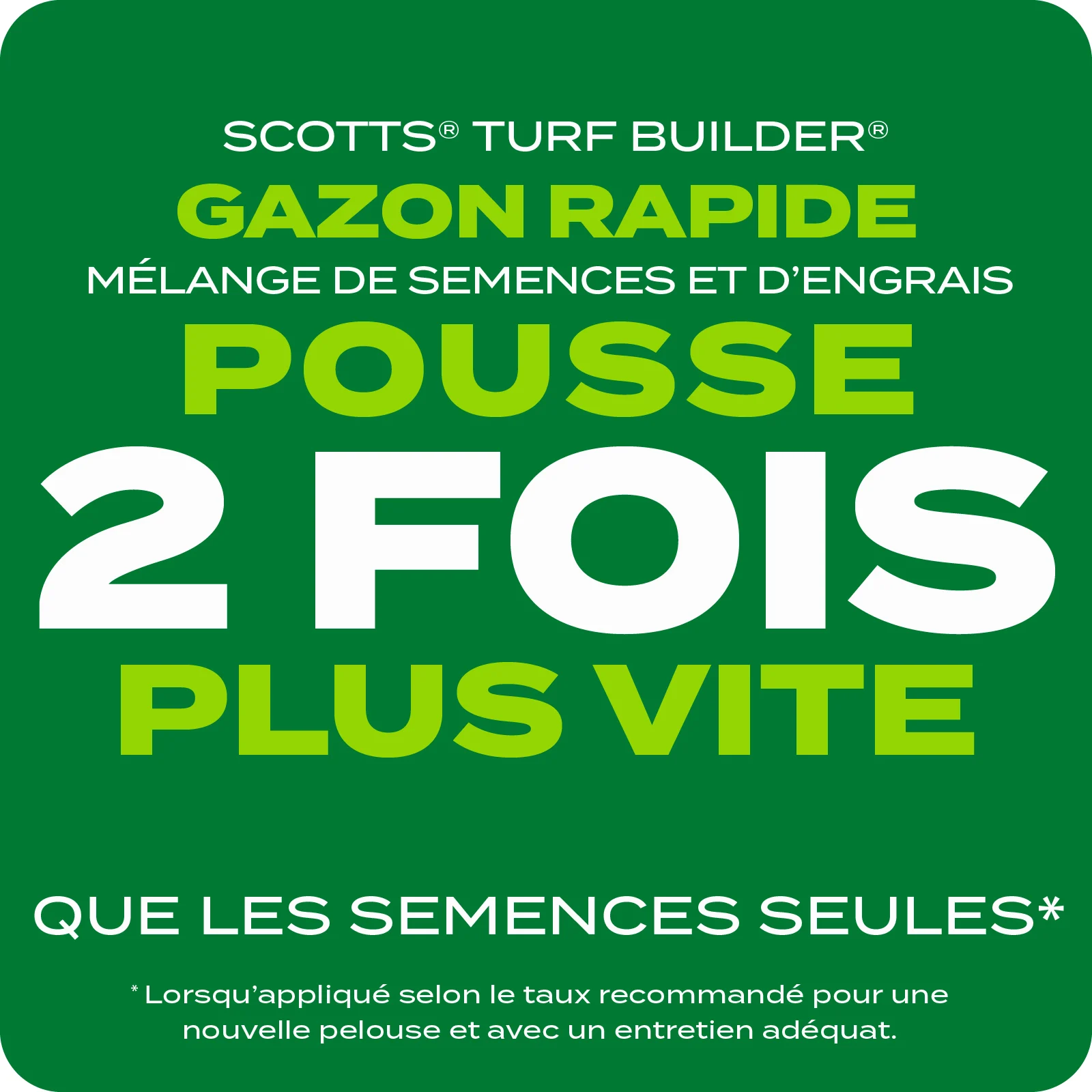LAWN SEED Q+T TILE 2 FRENCH