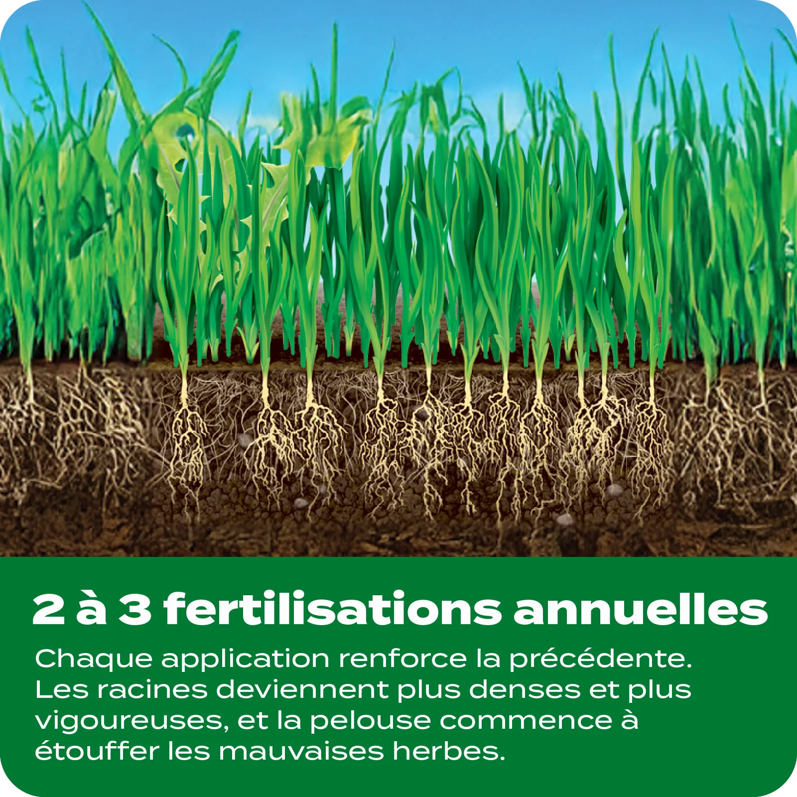 LAWN FERT TILE 9 FRENCH