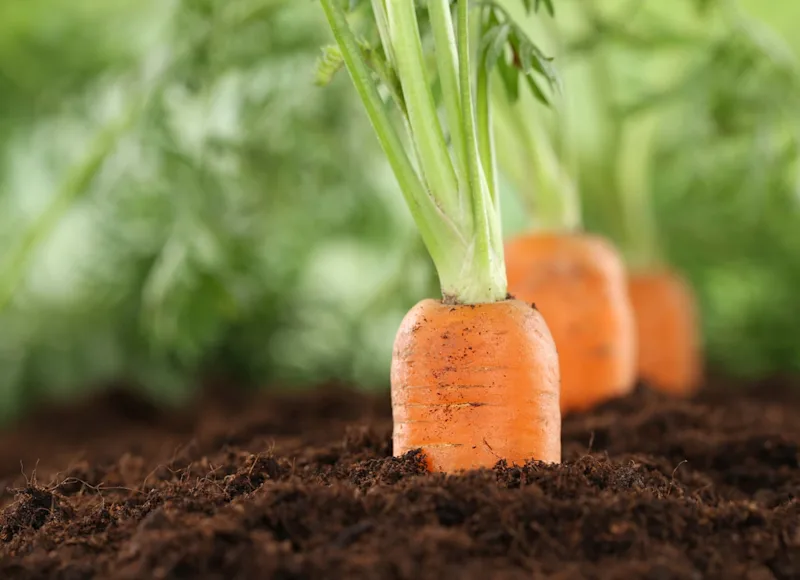 legacy asset from source