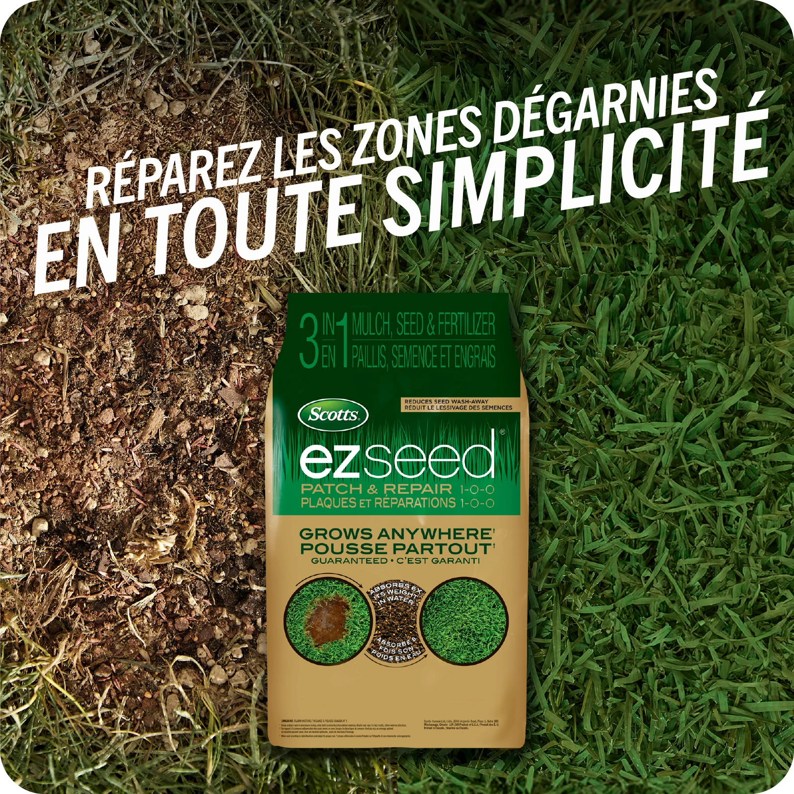 LAWN SEED EZ SEED TILE 1 FRENCH