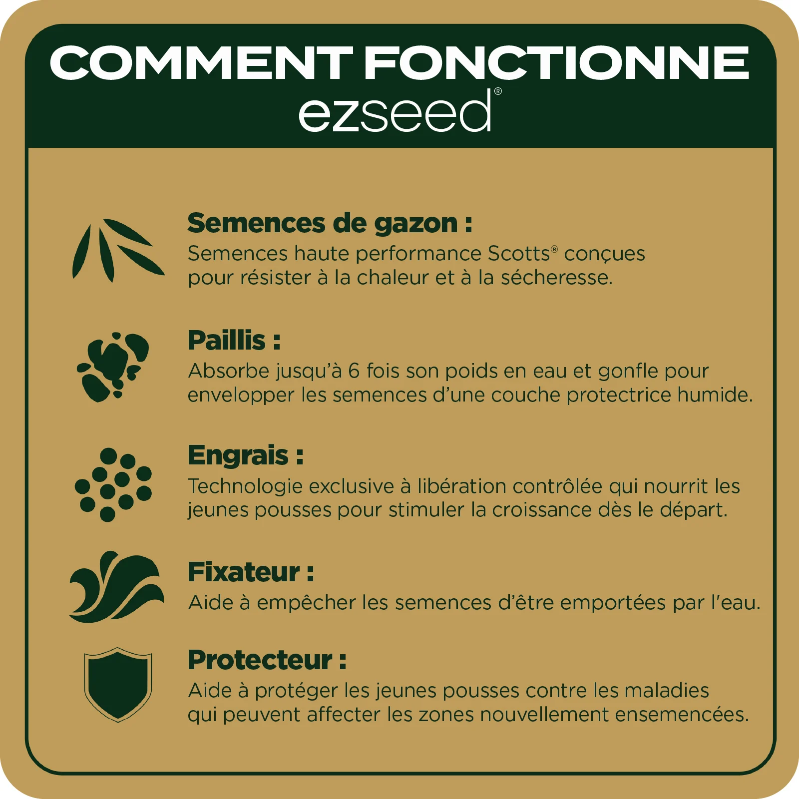 LAWN SEED EZ SEED TILE 3 FRENCH