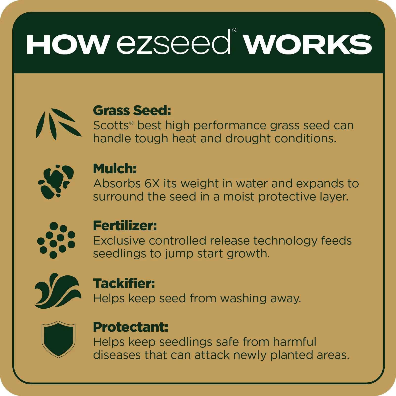 LAWN SEED EZ SEED TILE 3 ENGLISH