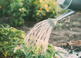 legacy asset from source