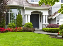 legacy asset from source