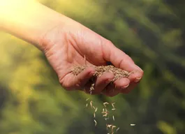 legacy asset from source