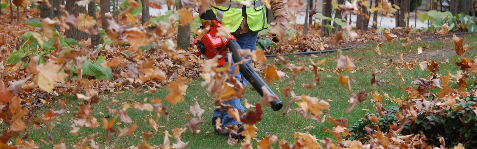 Left handed 2024 leaf blower