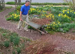 legacy asset from source