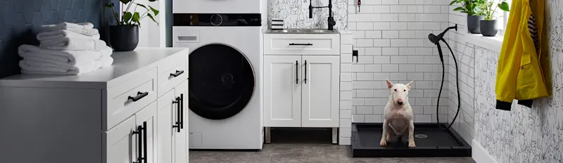 Laundry and dog wash room
