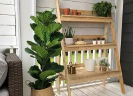 legacy asset from source