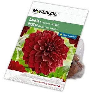 image of Flower Bulbs
