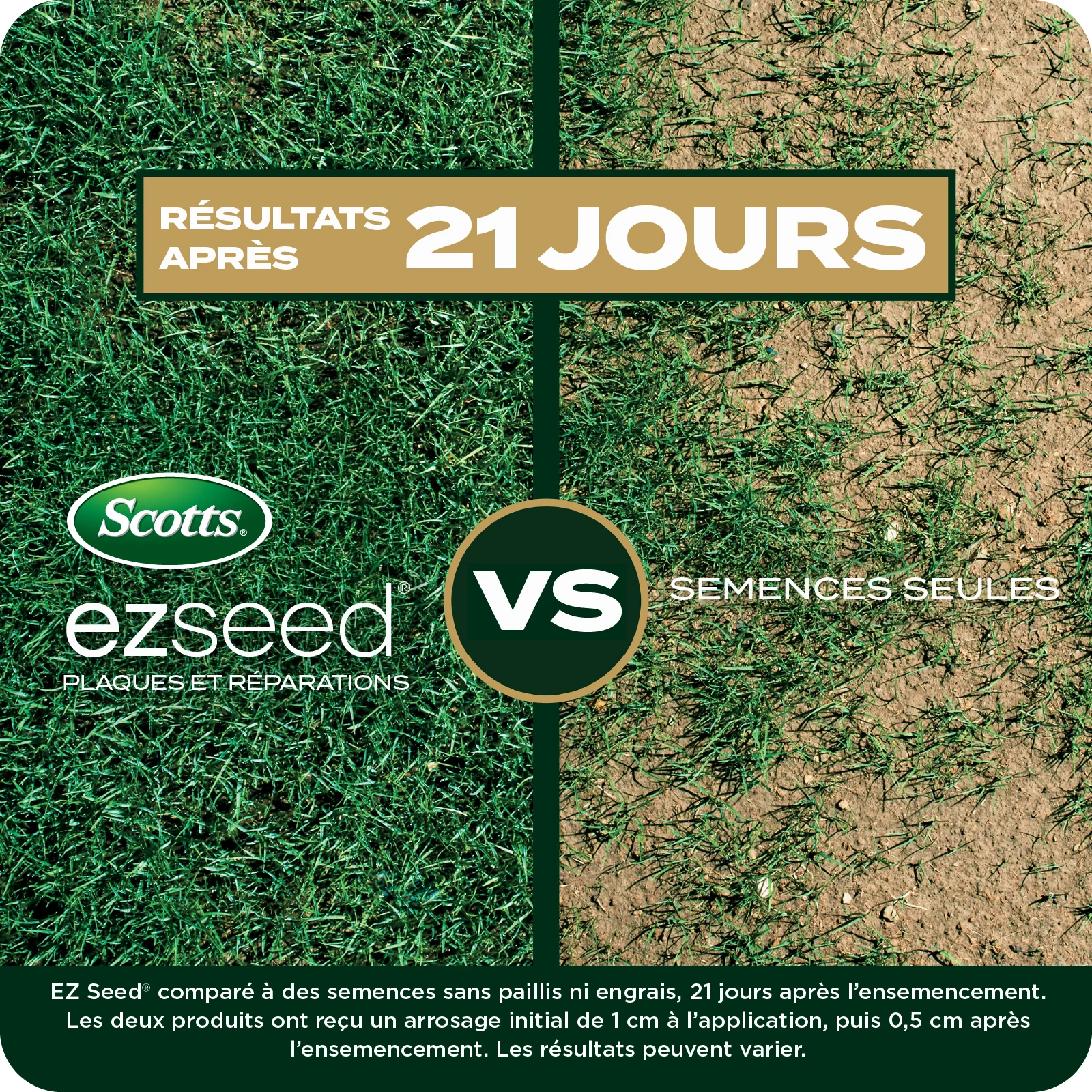 LAWN SEED EZ SEED TILE 5 FRENCH