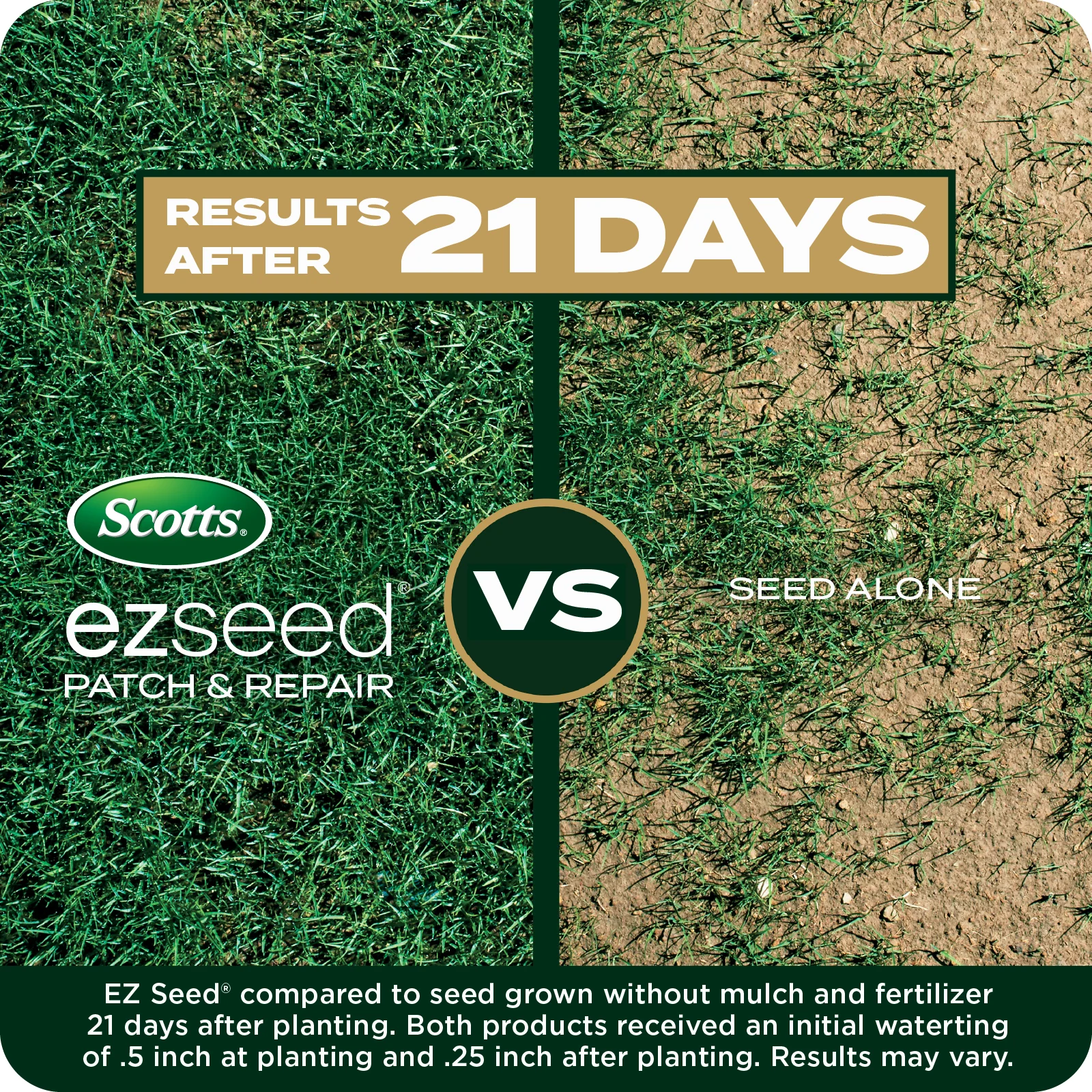 LAWN SEED EZ SEED TILE 5 ENGLISH