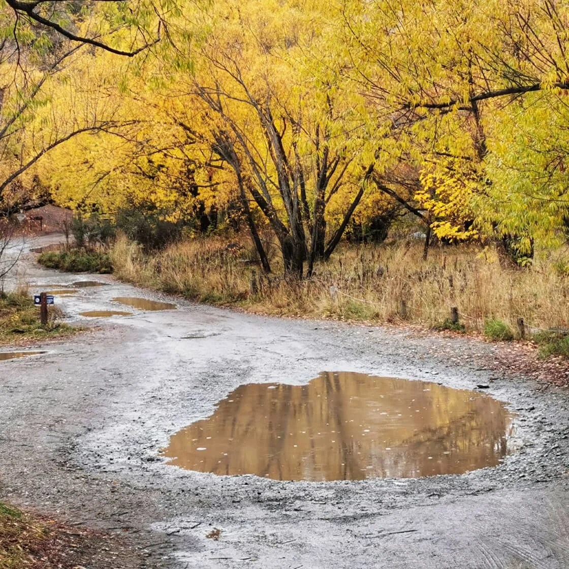 une flaque d'eau