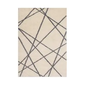 image of Black & White Area Rugs