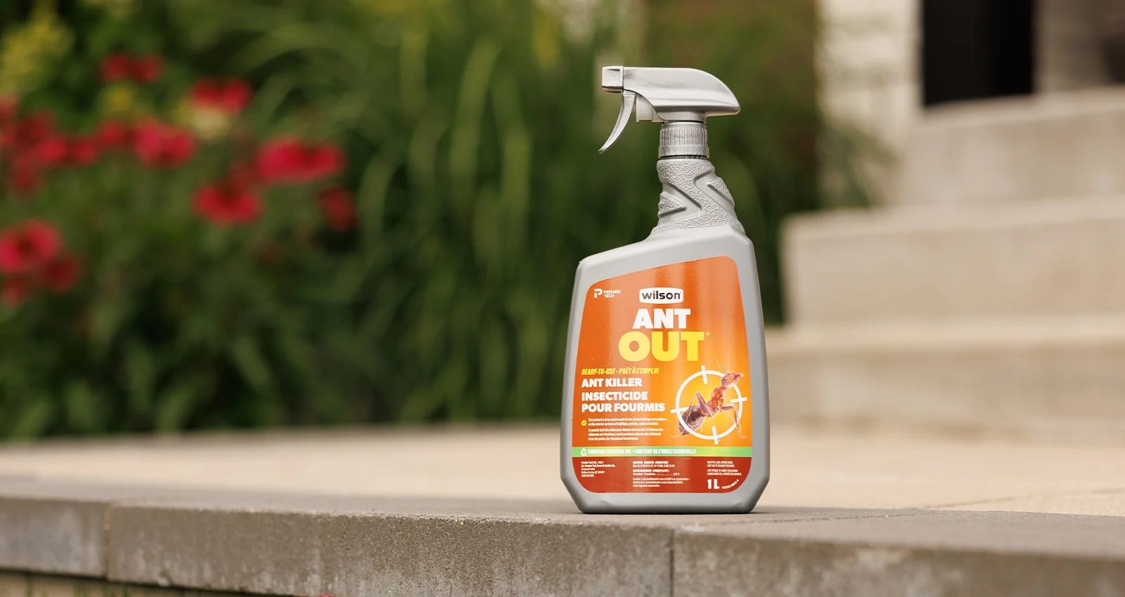 Wilson - Ant Out Image