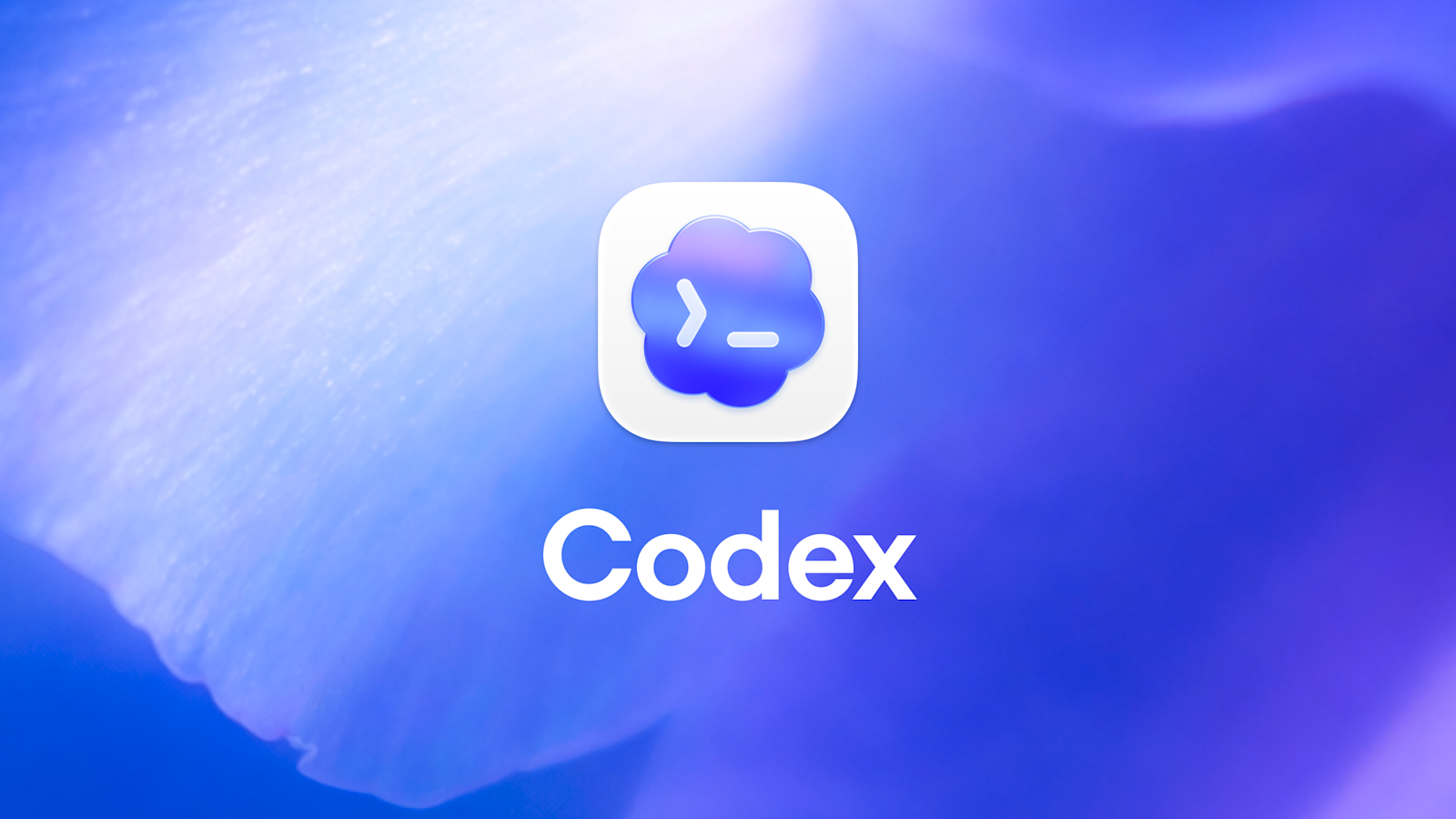 Codex Pricing
