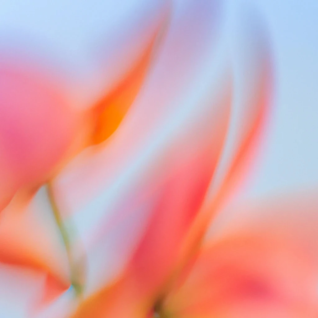 A soft, abstract image with blurred orange, pink, and red hues resembling petals or floral shapes. The colors blend smoothly, creating a dreamy, ethereal effect against a light blue background.