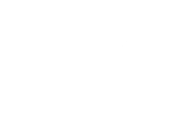 Logo for Bain & Company